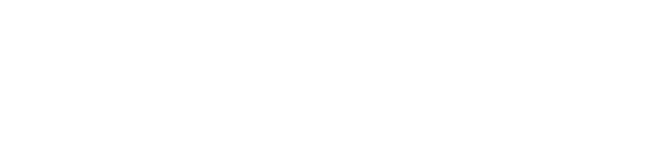 Ochema logo white